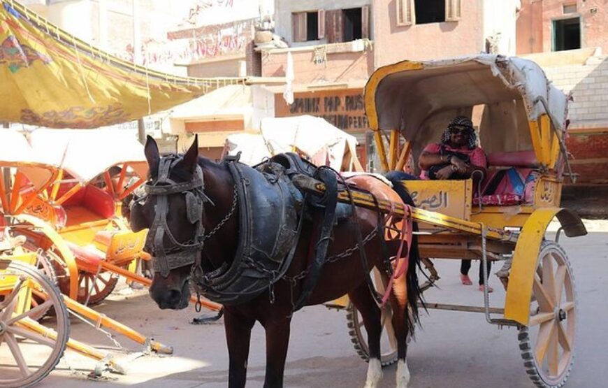 В Каир и к Великим Пирамидам с личным гидом