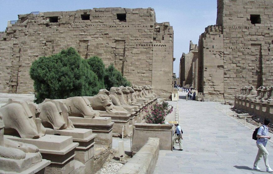 Золотой Луксор — Луксор Элит: индивидуальная экскурсия