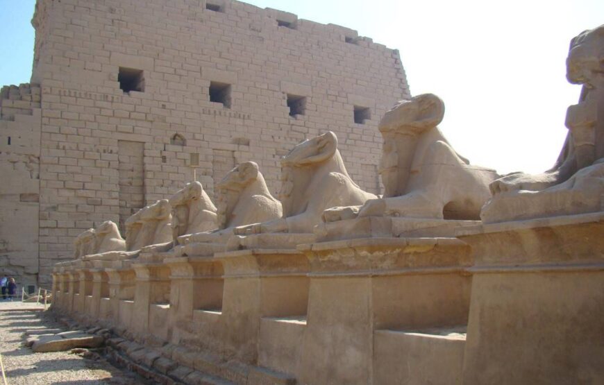 Золотой Луксор — Луксор Элит: индивидуальная экскурсия