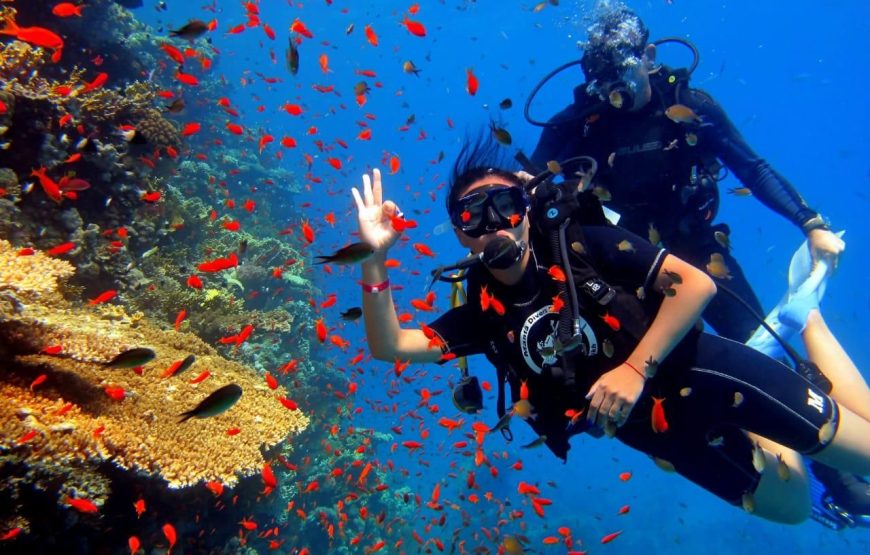 Морская экскурсия 5 в 1