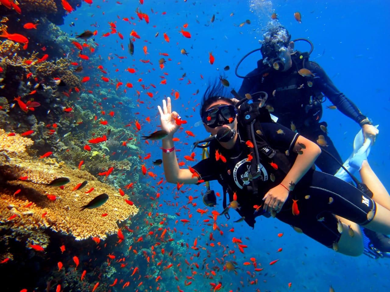одна погружения с аквалангами