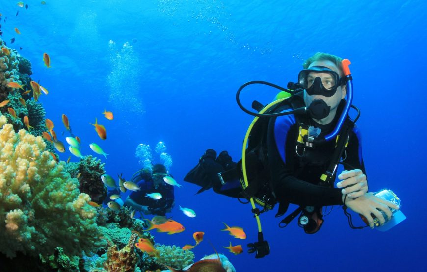 Морская экскурсия 5 в 1