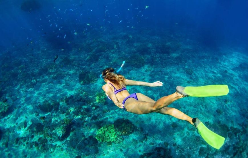 Морская экскурсия 5 в 1