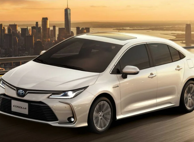 Экскурсии в Египте