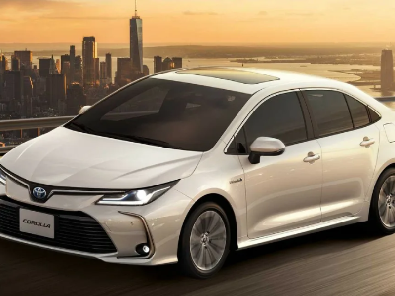 Экскурсии в Египте