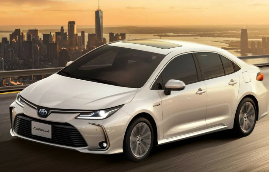 Индивидуальная машина по Каиру с русскоговорящим гидом. Программа на 8 часов