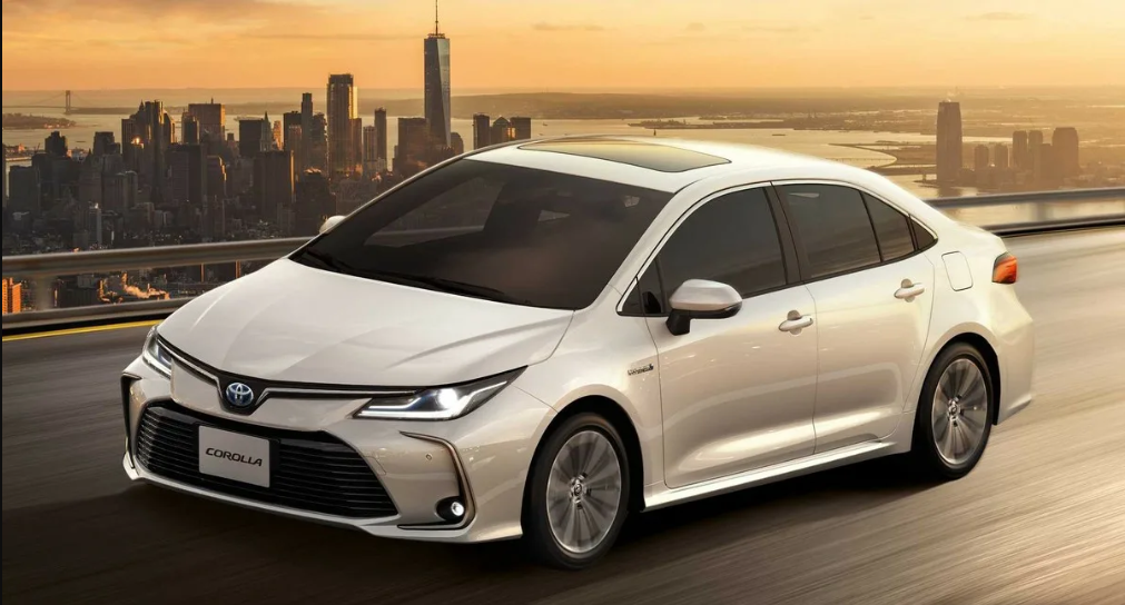 Программа «гибкая», без жёсткого расписания