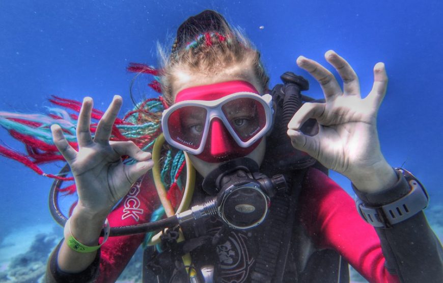 Дайвинг на весь день (2 погружения до 15 мин)